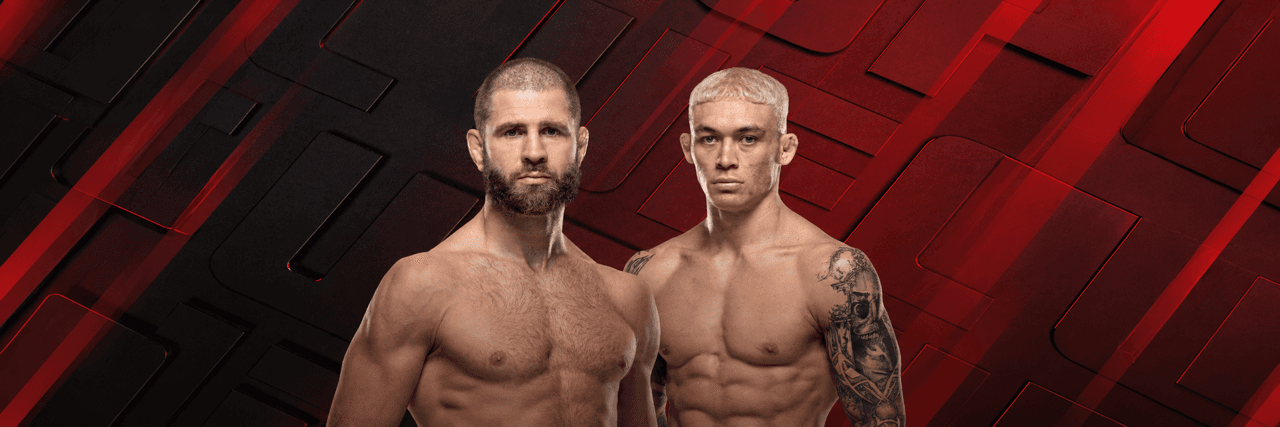 UFC Fight Night: Prochazka vs Stirling MMA event at ABHA Arena, Doha, Qatar — Nov 21